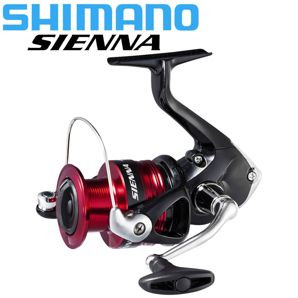 SHIMANO SIENNA Mulinello da pe - Abu Garcia Reel Max recensione e prezzo